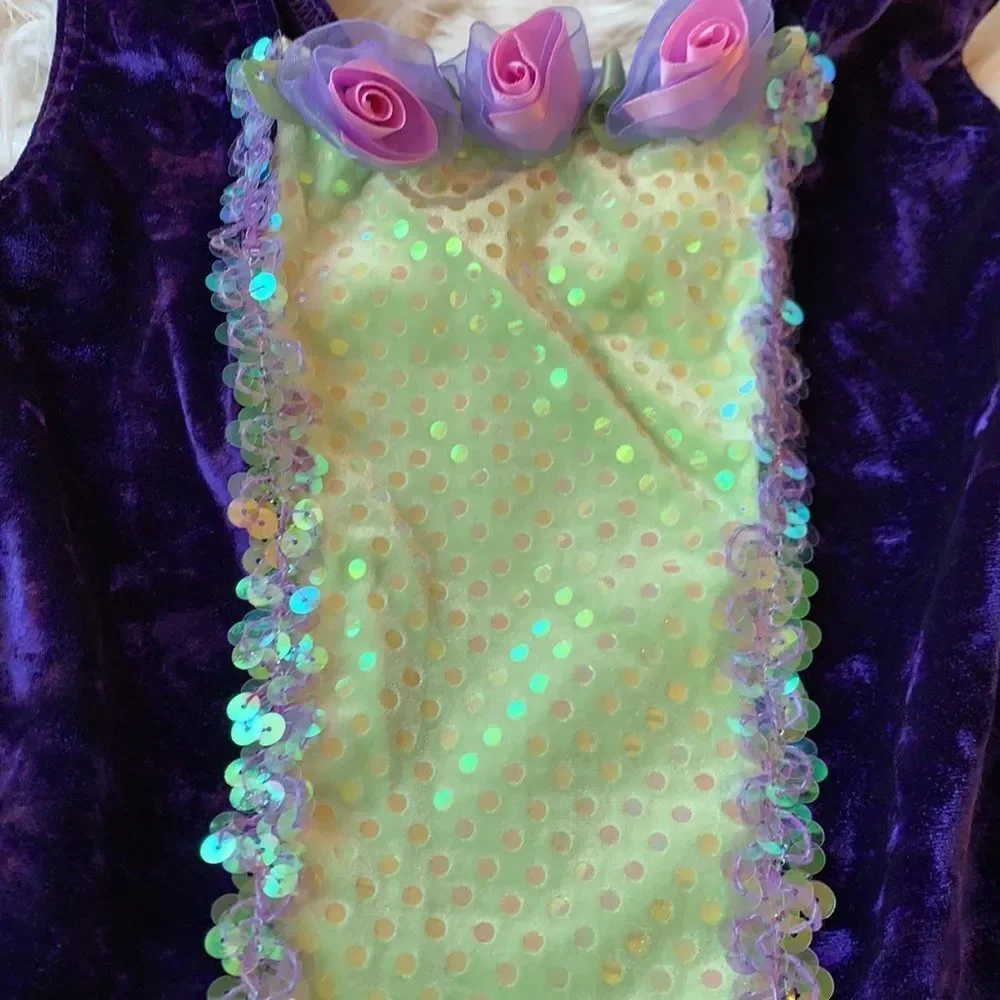Gorgeous fairy princess ballet dress / costume Purple & Green. matching barrette